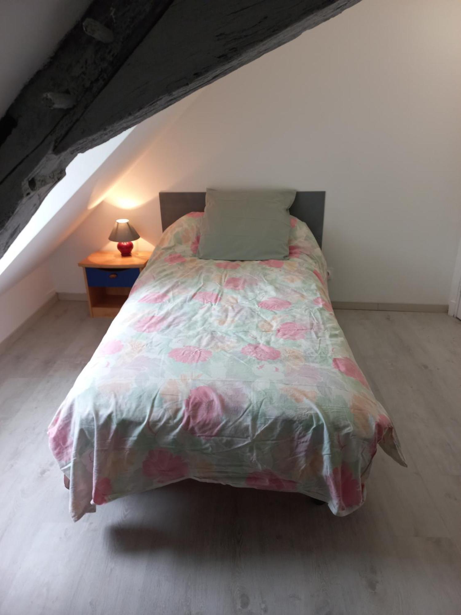 Agreable Maison De Ville Au Coeur De Шинон Экстерьер фото